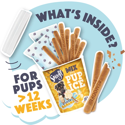 SMOOFL - MIX FOR PUPPY ICE CREAM - O-LA-LA BANANA 4 SMOOFL - MIX FOR PUPPY ICE CREAM - O-LA-LA BANANA - Image 2