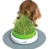 CAT GRASS PLANTER 2.0 -Pet Emporium 0022517431610 prd webl