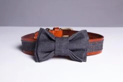 THE DENIM DOG - RIVET COLLAR COGNAC -Pet Emporium 0V2A5903 ece693ea 33d9 4339 a5b2 be4b062cd36c