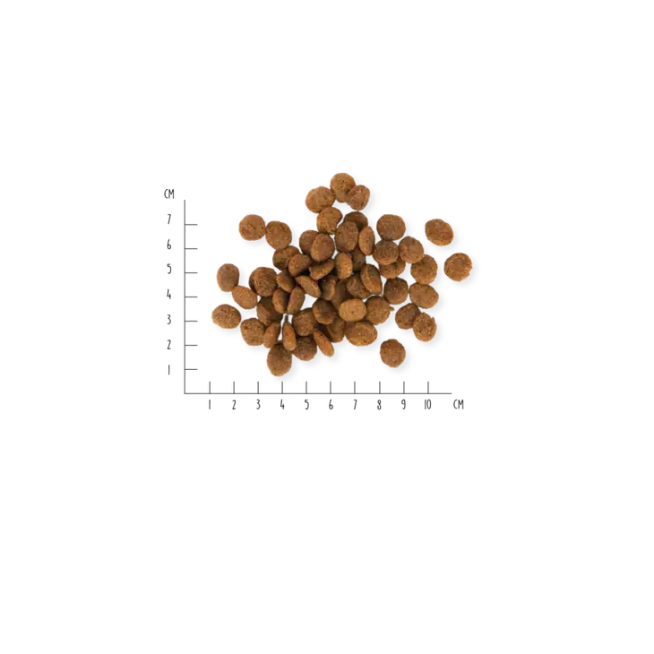 VEGDOG - FARMER'S CRUNCH 4 VEGDOG - FARMER'S CRUNCH - Image 2