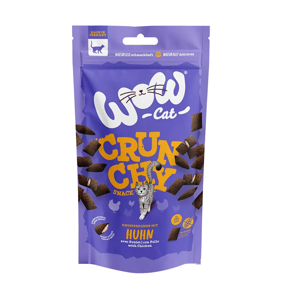 WOW - CRUNCHY SNACK WITH CHICKEN 3 WOW - CRUNCHY SNACK WITH CHICKEN