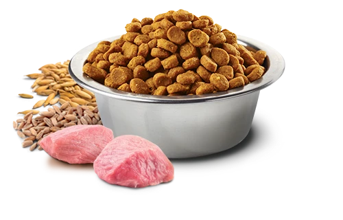 FARMINA TROPICAL SELECTION - ADULT DOG - PORK, SPELT, OATS & TROPICAL FRUITS 4 FARMINA TROPICAL SELECTION - ADULT DOG - PORK, SPELT, OATS & TROPICAL FRUITS - Image 2