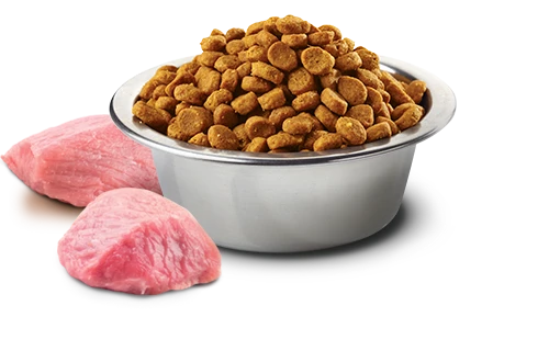 FARMINA PRIME - WILD BOAR & APPLE - ADULT 4 FARMINA PRIME - WILD BOAR & APPLE - ADULT - Image 2