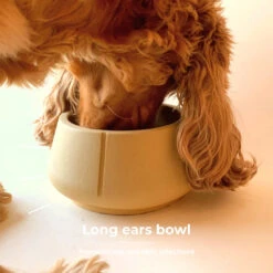 PINO - LONG EARS BOWL - CAMEL BROWN -Pet Emporium 15 27489f92 c674 4427 94d8 e0398f9e1627