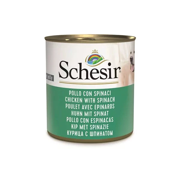 SCHESIR WET ADULT DOG - CHICKEN & SPINACH 3 SCHESIR WET ADULT DOG - CHICKEN & SPINACH