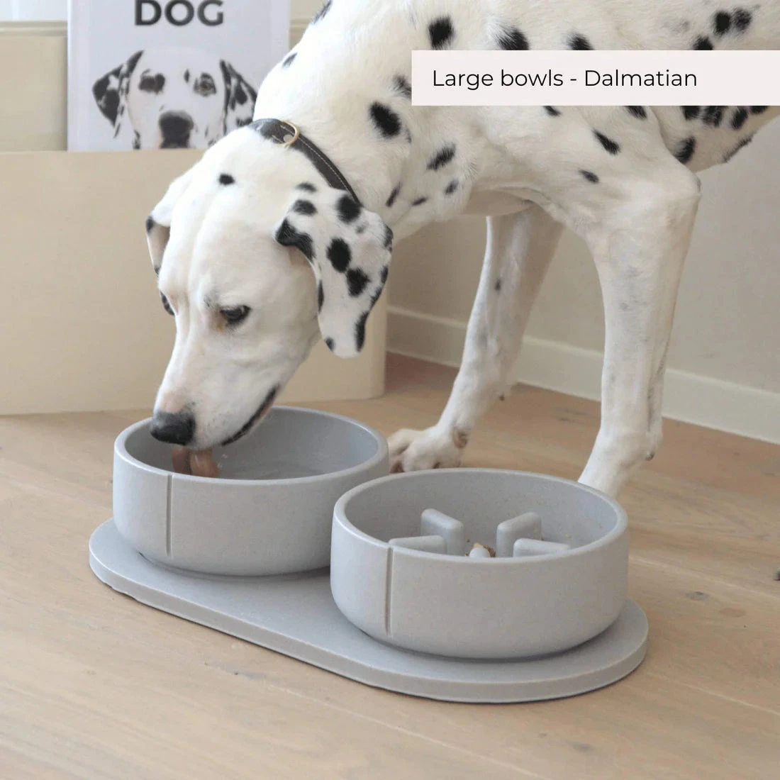 PINO - SLOW FEEDER BOWL - DOLPHIN GREY - SOLID 7 PINO - SLOW FEEDER BOWL - DOLPHIN GREY - SOLID - Image 5