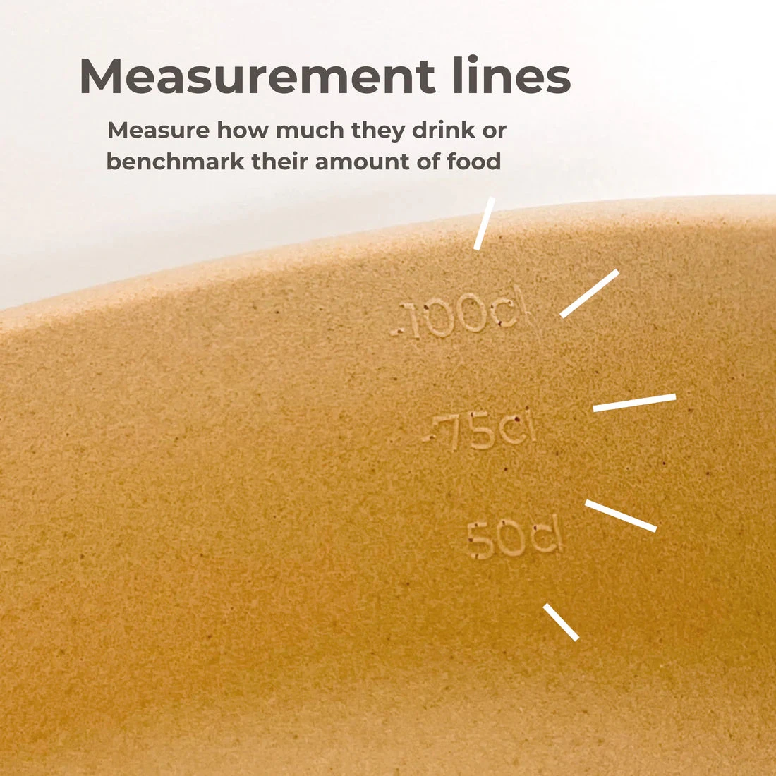 PINO - CLASSIC FEEDER - FOXY TERRA - SOLID 4 PINO - CLASSIC FEEDER - FOXY TERRA - SOLID - Image 2