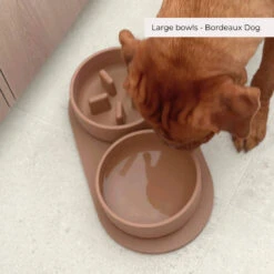 PINO - SLOW FEEDER BOWL - FOXY TERRA - SOLID -Pet Emporium 2 d753eb6c f459 47d1 b095 489e8d159e96