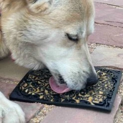 SODAPUP - EMAT ZOMBIE - LARGE -Pet Emporium 346979 PT7