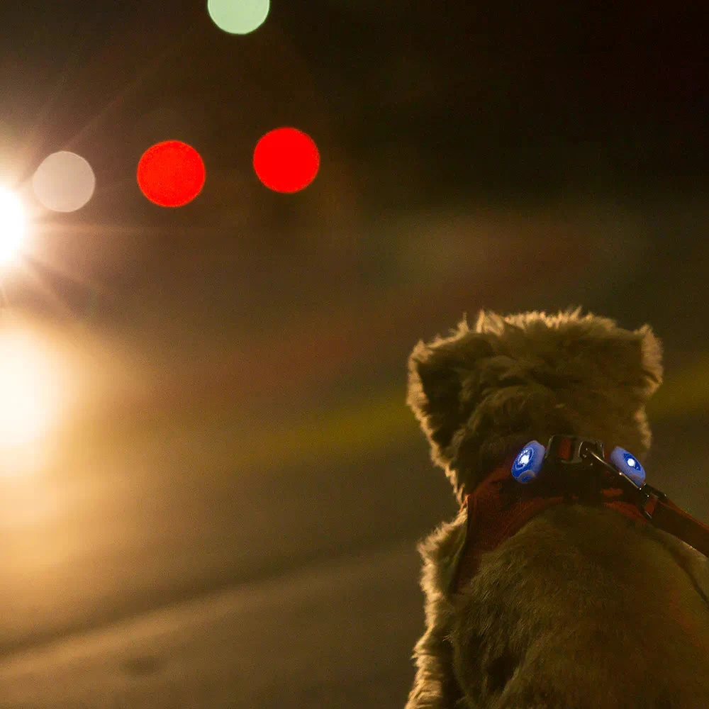 CURLI - SAFETY LED LIGHT 7 CURLI - SAFETY LED LIGHT - Image 5