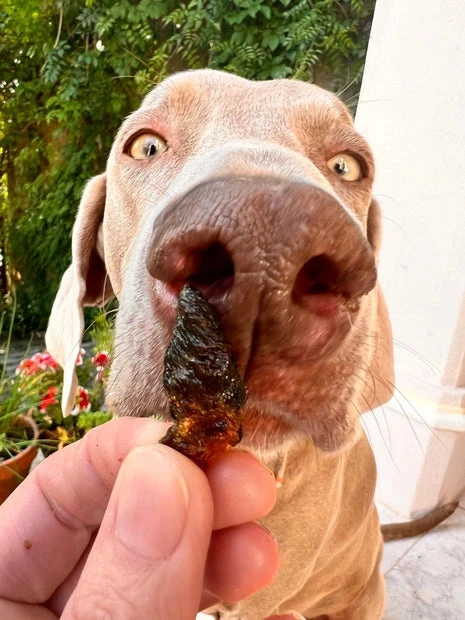 COOKA'S COOKIES - CHICKEN HEARTS 4 COOKA'S COOKIES - CHICKEN HEARTS - Image 2