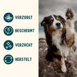 IMBY - PAW AND NOSE BALM 13 IMBY - PAW AND NOSE BALM -Pet Emporium 4 NL min copy