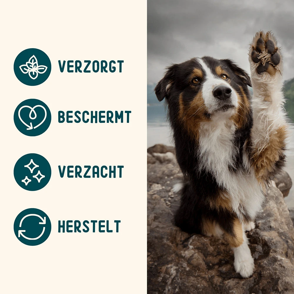 IMBY - PAW AND NOSE BALM 7 IMBY - PAW AND NOSE BALM - Image 5