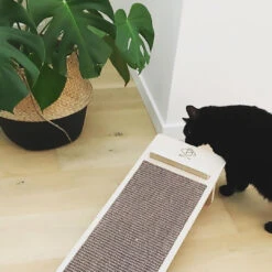 KENNY SCRATCHER -Pet Emporium 4047059444528 sc1 webl