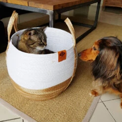 D&D RAY PAPER ROPE BASKET -Pet Emporium 4047059445150 sc1 webl