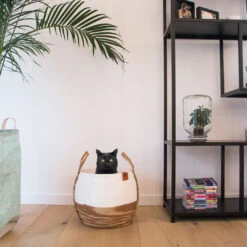 D&D RAY PAPER ROPE BASKET -Pet Emporium 4047059445150 sc2 webl