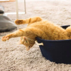 FELT BARREL BLUE -Pet Emporium 4047059447505 sc2 webl