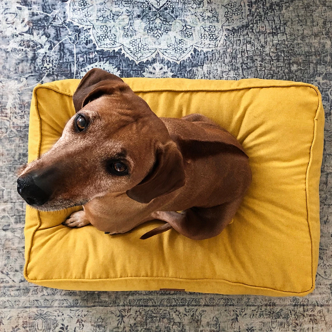 D&D HOME COLLECTION - EVE - RETRO PILLOW 5 D&D HOME COLLECTION - EVE - RETRO PILLOW - Image 3