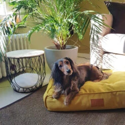 D&D HOME COLLECTION - EVE - RETRO PILLOW 16 D&D HOME COLLECTION - EVE - RETRO PILLOW -Pet Emporium 4047059451984 sc3 webl