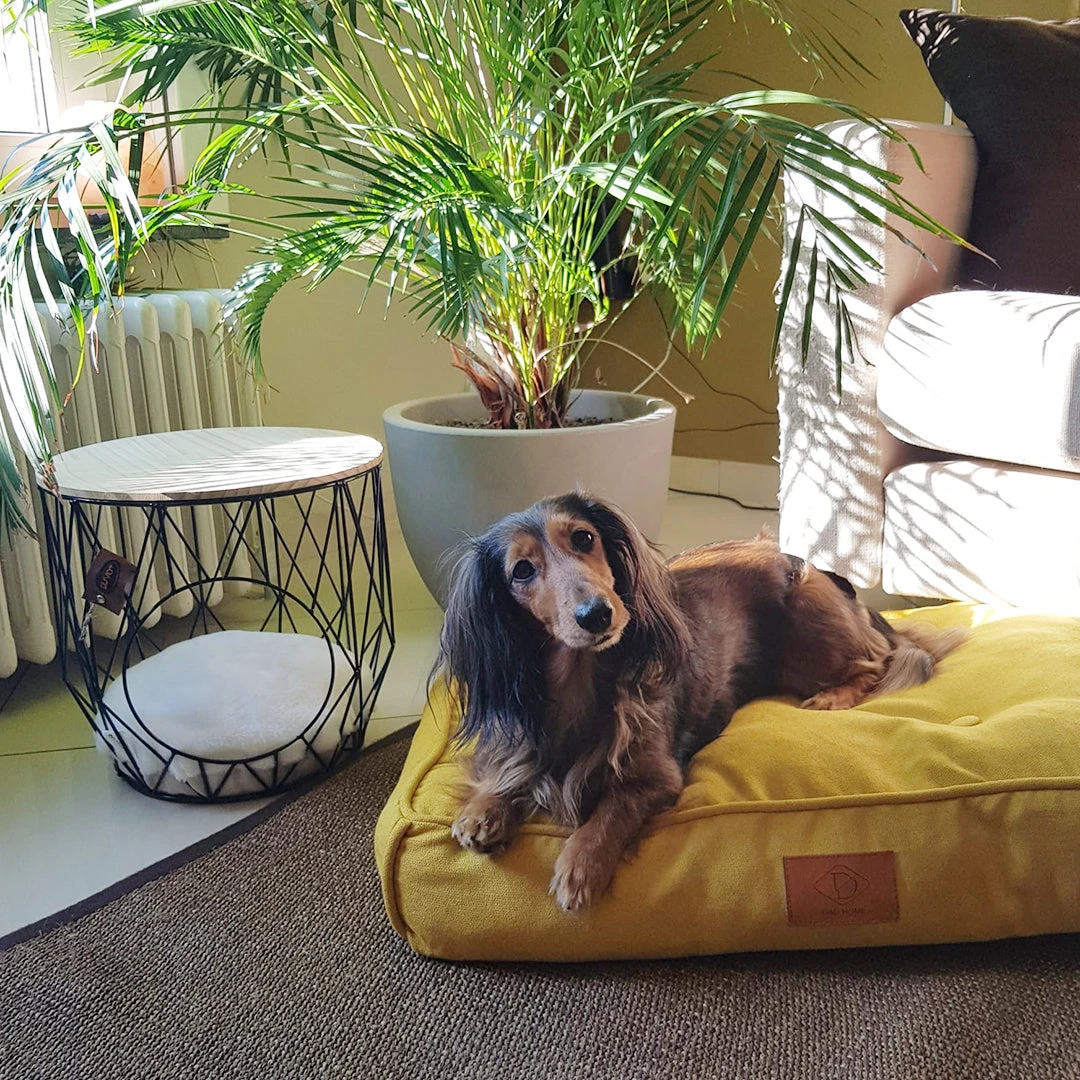 D&D HOME COLLECTION - EVE - RETRO PILLOW 8 D&D HOME COLLECTION - EVE - RETRO PILLOW - Image 6