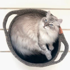 D&D - TOD - CAT BASKET -Pet Emporium 4047059463062 sc1 webl