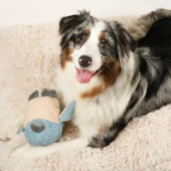 D&D HOME COLLECTION - ISLA -Pet Emporium 4047059479087 sc1 webl