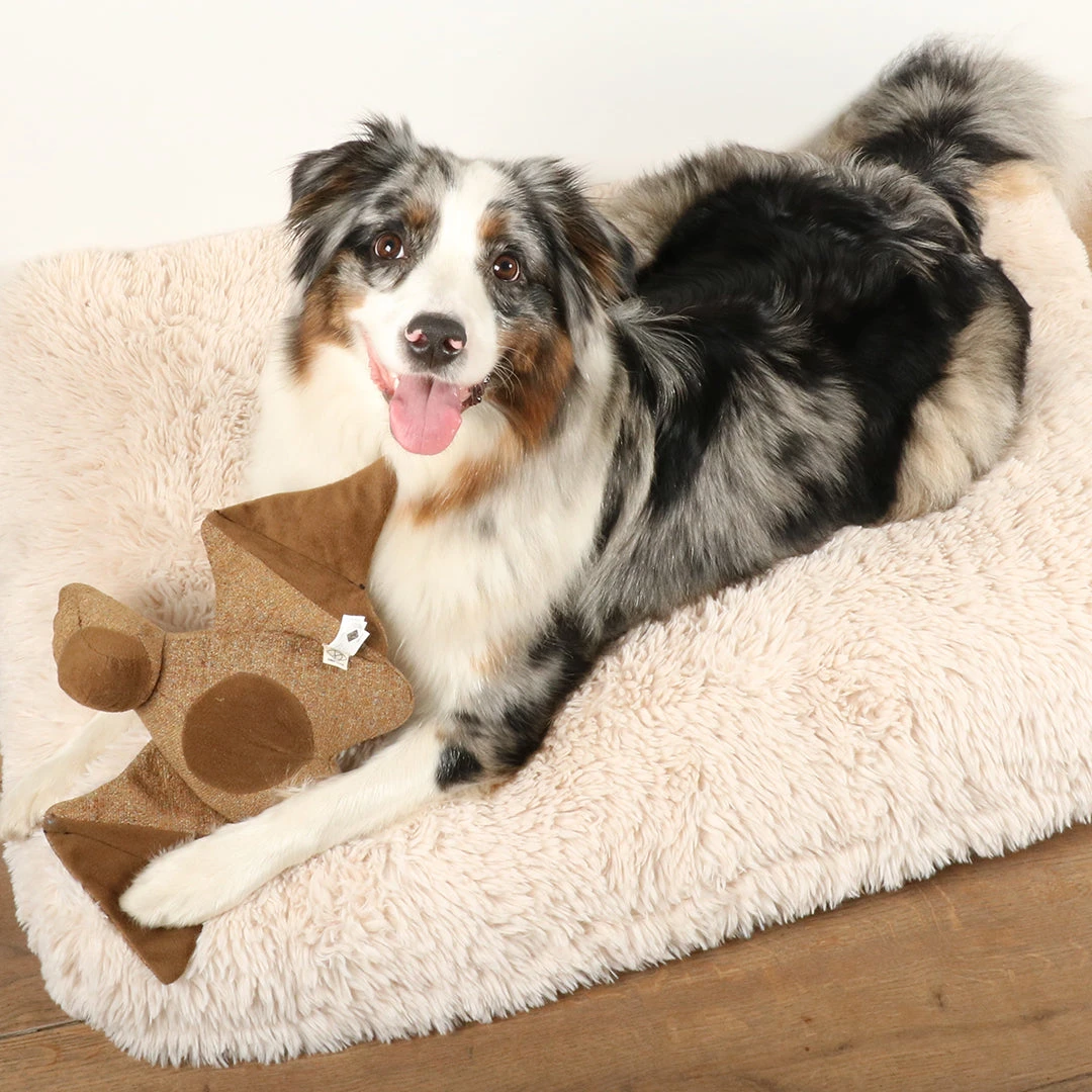 D&D HOME COLLECTION - KAYLI 5 D&D HOME COLLECTION - KAYLI - Image 3