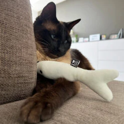 D&D HOME COLLECTION - FINN -Pet Emporium 4047059482582 sc1 webl