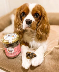 COOKA'S COOKIES - CHICKEN HEARTS 9 COOKA'S COOKIES - CHICKEN HEARTS -Pet Emporium 408b98763fd95aa3ba28296c54c0cd8c030a014e46487457b7fb835b7391aba5