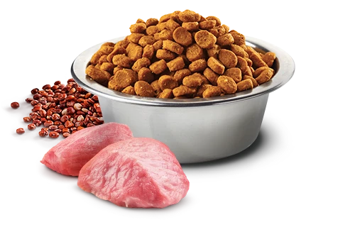 FARMINA QUINOA - ADULT DOG - DIGESTION - LAMB 4 FARMINA QUINOA - ADULT DOG - DIGESTION - LAMB - Image 2