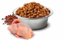 Pet Emporium -Pet Emporium 437 16 bowl nd quinoa quail