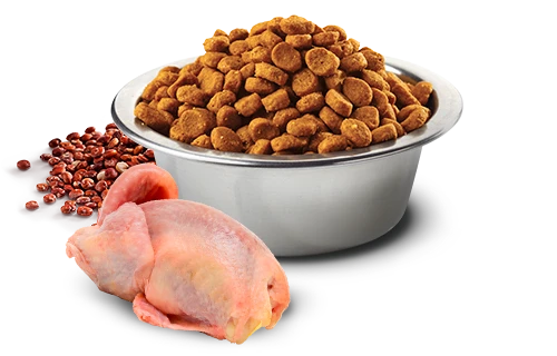 FARMINA QUINOA - ADULT DOG - SKIN & COAT - QUAIL, QUINOA & COCONUT - MINI 4 FARMINA QUINOA - ADULT DOG - SKIN & COAT - QUAIL, QUINOA & COCONUT - MINI - Image 2