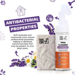 DOGSLIFE - PAW CLEANER 18 DOGSLIFE - PAW CLEANER -Pet Emporium 461306bb7137df6981b9ddd60ed0609cb815a0c5aa8ff84991e901d6077a287f