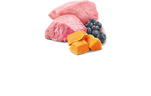 FARMINA PUMPKIN - PUPPY - LAMB, PUMPKIN & BLUEBERRIES 4 FARMINA PUMPKIN - PUPPY - LAMB, PUMPKIN & BLUEBERRIES - Image 2