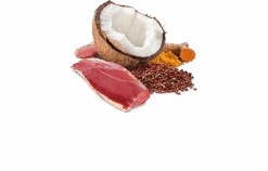 FARMINA QUINOA - ADULT DOG - SKIN& COAT - DUCK & COCONUT -Pet Emporium 541 25 ND QUINOA SKIN COAT duck 500x320px web