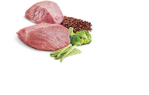 FARMINA QUINOA - ADULT DOG - WEIGHT MANAGEMENT 4 FARMINA QUINOA - ADULT DOG - WEIGHT MANAGEMENT - Image 2