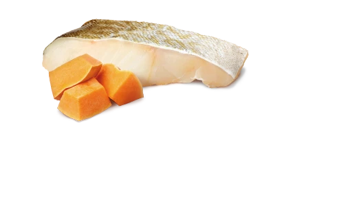 FARMINA OCEAN - PUPPY - COD & PUMPKIN 4 FARMINA OCEAN - PUPPY - COD & PUMPKIN - Image 2