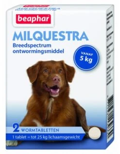 BEPHAR - MILQUESTRA ADULT DOG