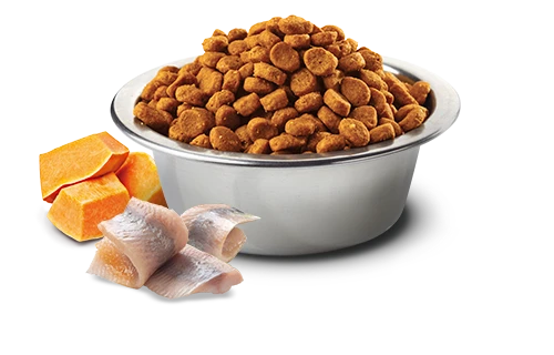 FARMINA OCEAN - ADULT DOG - COD, PUMPKIN & ORANGE 4 FARMINA OCEAN - ADULT DOG - COD, PUMPKIN & ORANGE - Image 2