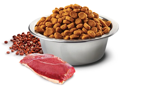 FARMINA QUINOA - NEUTERED - DUCK, QUINOA, BROCCOLI AND ASPARAGUS 4 FARMINA QUINOA - NEUTERED - DUCK, QUINOA, BROCCOLI AND ASPARAGUS - Image 2