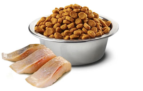 FARMINA OCEAN - NEUTERED CAT - HERRING & ORANGE 4 FARMINA OCEAN - NEUTERED CAT - HERRING & ORANGE - Image 2