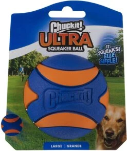 CHUCKIT SQUEAKER 10 CHUCKIT SQUEAKER -Pet Emporium 81xA5uuT1JS. AC SL1500