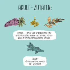 VEGDOG - LENTIL & MILLET -Pet Emporium 9760ed1e51976d521ae950412d8f9d9ab253edad3898a566dde464bccd4378fe