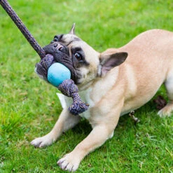 BECO - BALL WITH ROPE -Pet Emporium BECOTOY3