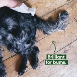 BECO - BAMBOO DOG WIPES -Pet Emporium BECOWIPES7