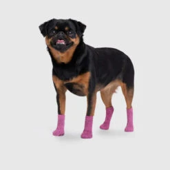 CANADA POOCH - THE BASIC SOCK - PINK -Pet Emporium BasicSocks Pink Side 520x d7cd4a7e dbf5 4c19 b297 7bd3730d9383
