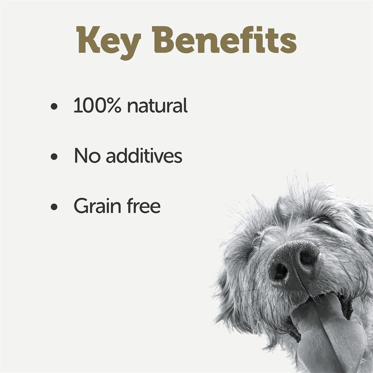 APPLAW - TASTE TOPPERS - DIFFERENT TASTES 7 APPLAW - TASTE TOPPERS - DIFFERENT TASTES - Image 5