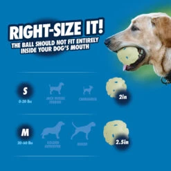 CHUCKIT - AIR GLOW FETCH BALL -Pet Emporium CHUC36190 6 main