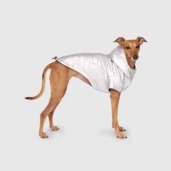 CANADA POOCH - COLD FRONT RAINCOAT - SILVER 10 CANADA POOCH - COLD FRONT RAINCOAT - SILVER -Pet Emporium ColdFrontRaincoat Silver Side 520x 0e0a8885 d554 4fb5 a9fe 1f4ff5b12766