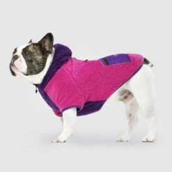 CANADA POOCH - COOL FACTOR HOODIE - PINK/PURPLE -Pet Emporium CoolFactorHoodie PinkPurple Side 520x b8efc8fc 1aa2 4a19 85dd 56635a1c136e